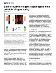 Biomolecular force generation based on the principle of a gas spring
