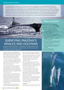 Marine Mammal Research More than $[removed]in funding for non-lethal whale research was announced by the Australian Government in June. A $[removed]Indo-Pacific Cetacean Research and Conservation Fund (IPCF) will support f