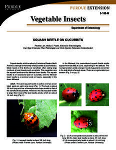 PURDUE EXTENSION  Vegetable Insects E-100-W