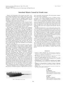 Protostome / Rat-tailed maggot / Biology / Myiasis / Eristalis tenax / Eristalis / Hoverflies / Pollinators / Phyla