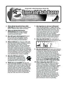 Frequently Asked Questiions about the Emerald Ash Borer