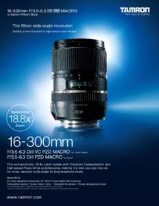 Tamron / Technology / Camera lens / Sony E-mount / Digital single-lens reflex camera / Single-lens reflex camera / Superzoom / Sigma Corporation / Lens mounts / Photography / Optics