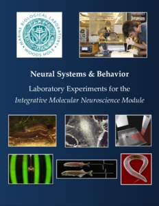 Neural Systems & Behavior Laboratory Experiments for the Integrative Molecular Neuroscience Module 1