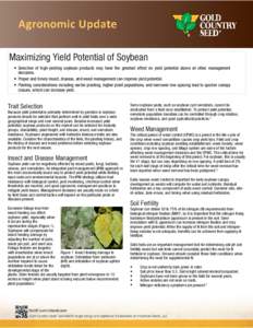    Maximizing Yield Potential of Soybean • Selection of high-yielding soybean products may have the greatest effect on yield potential above all other management decisions. • Proper and timely insect, disease, and w
