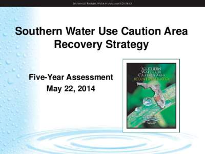 Southern Water Use Caution Area Recovery Strategy Five-Year Assessment May 22, 2014  Water Use Caution Areas