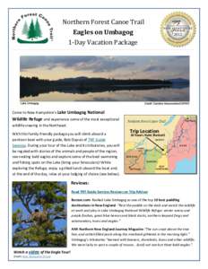 Northern Forest Canoe Trail Eagles on Umbagog 1-Day Vacation Package Come to New Hampshire’s Lake Umbagog National