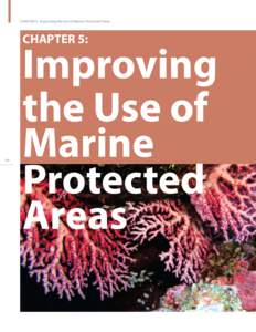CHAPTER 5: Improving the Use of Marine Protected Areas  CHAPTER 5: 68