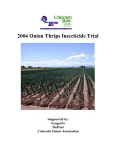 2004 Onion Thrips Insecticide Trial  Supported by: Syngenta DuPont Colorado Onion Association