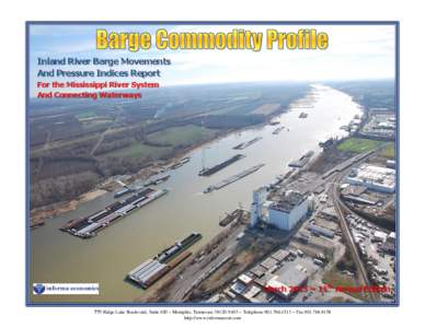 Inland River System Barge Commodity Profile Report