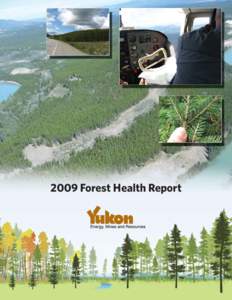 2009 Forest Health Report  2009 Yukon Forest Health Report Table of Contents A Risk Based Approach to Forest Health Monitoring for Yukon