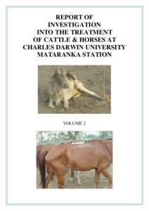 Microsoft Word - Investigation into the Treatment of Cattle & Horses at CDU Vol 2.doc