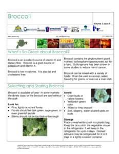 Broccoli Volume 1, Issue 9 www.panen.org  [removed]