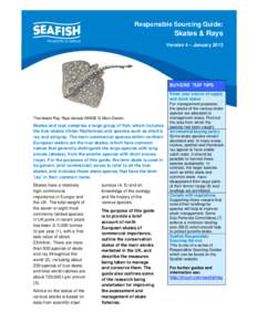 Cartilaginous fish / Ichthyology / International Council for the Exploration of the Sea / Skate / Egg case / Thornback ray / Fisheries management / Shagreen ray / Leucoraja / Fish / Rajidae / Raja