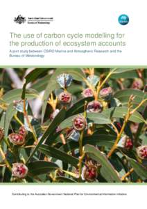 The use of carbon cycle modelling for the production of ecosystem accounts A joint study between CSIRO Marine and Atmospheric Research and the Bureau of Meteorology  Contributing to the Australian Government National Pla