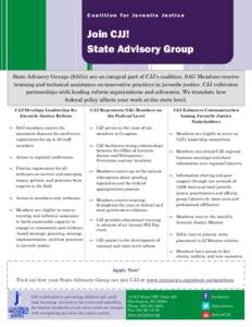 Coalition for Juvenile Justice  Join CJJ! State Advisory Group State Advisory Groups (SAGs) are an integral part of CJJ’s coalition. SAG Members receive training and technical assistance on innovative practices in juve