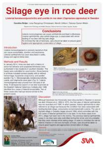 Health / Microbiology / Listeria monocytogenes / Listeriosis / Listeria / Ophthalmitis / Uveitis / Capreolus / Conjunctiva / Listeriaceae / Deer / Biology