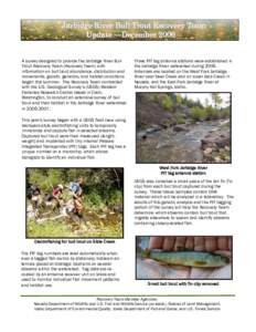 Jarbidge River Bull Trout Recovery Team Update —December 2006 A survey designed to provide the Jarbidge River Bull Trout Recovery Team (Recovery Team) with information on bull trout abundance, distribution and