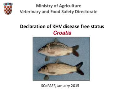 Ministry of Agriculture Veterinary and Food Safety Directorate