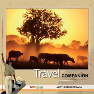 Travel  COMPANION NORTHERN BOTSWANA