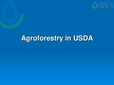 Agroforestry in USDA  Departmental Regulation  On February 26 the Secretary of Agriculture issued a Departmental Regulation that set as policy for USDA regarding Agroforestry.