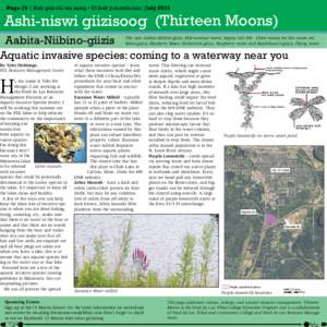 Page 16 | Nah gah chi wa nong • Di bah ji mowin nan |July[removed]Ashi-niswi giizisoog (Thirteen Moons) Aabita-Niibino-giizis Aquatic invasive species: coming to a waterway near you