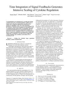 Time Integration of Signal Feedbacks Generates Intensive Scaling of Cytokine Regulation Karen Tkach1,2, Debashis Barik1 , Matt Hathorn1,2 Jesse Cotari1,2, Robert Vogel1,2 Oleg Krichevsky3,  and Grégoire Altan-Bonnet