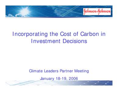 Incorporating the Cost of Carbon in Investment Decisions
