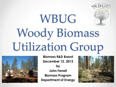 WBUG Woody Biomass Utilization Group Biomass R&D Board December 12, 2012 by