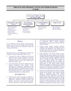 Residential treatment center / Youth detention center / Child Protective Services / Health care provider / Foster care / Medicine / Wraparound / California Proposition 63 / Childhood / Family / Substance Abuse and Mental Health Services Administration