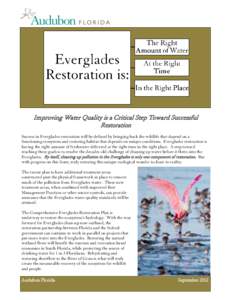 Improving Water Quality is a Critical Step Toward Successful Restoration Success in Everglades restoration will be defined by bringing back the wildlife that depend on a functioning ecosystem and restoring habitat that d