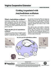 publication[removed]Getting Acquainted with Amyloodinium ocellatum Michael H. Schwarz, Stephen A. Smith