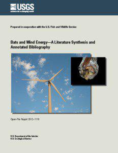 Prepared in cooperation with the U.S. Fish and Wildlife Service  Bats and Wind Energy—A Literature Synthesis and