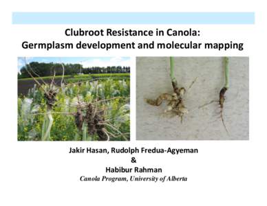 Clubroot Resistance in Canola: Germplasm development and molecular mapping Jakir Hasan, Rudolph Fredua-Agyeman & Habibur Rahman