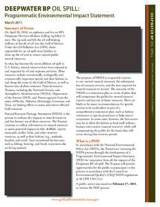 Programmatic Environmental Impact Statement March 2011 Summary of Events On April 20, 2010, an explosion and fire on BP’s Deepwater Horizon off-shore drilling rig killed 11 men. The rig sank and left the oil well leaki