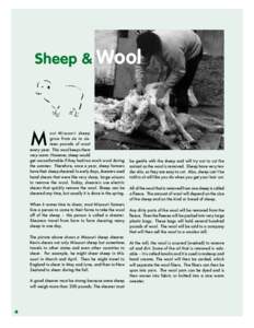Sheep & Wool  M ost Missouri sheep grow from six to sixteen pounds of wool