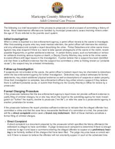 Preliminary hearing / Arraignment / Presentence investigation report / Plea / Racketeer Influenced and Corrupt Organizations Act / Jury / Wisconsin Circuit Court / Italian Code of Criminal Procedure / Law / Criminal law / Plea bargain