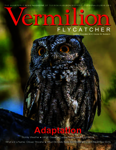Vermilion THE QUARTERLY NEWS MAGAZINE OF TUCSON AUDUBON SOCIETY | TUCSONAUDUBON.ORG flycatcher October–December 2014 | Volume 59, Number 4