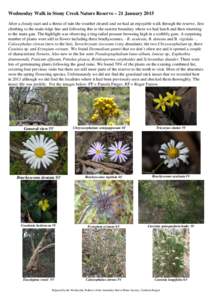 Pimelea / Brachyscome / Flora of Australia / Lomandra / Daviesia / Scleranthus / Bossiaea / Desmodium / Eucalyptus / Plant taxonomy / Cassinia / Chrysocephalum