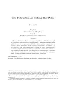 Twin Dollarization and Exchange Rate Policy  ∗ February 2010