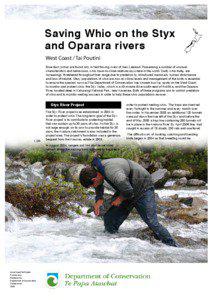 Saving Whio on the Styx and Oparara rivers: conservation revealed: publications