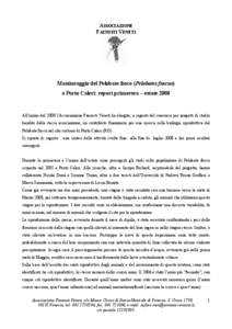 ASSOCIAZIONE FAUNISTI VENETI Monitoraggio del Pelobate fosco (Pelobates fuscus) a Porto Caleri: report primavera – estate 2008
