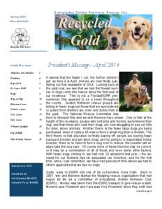 Everglades Golden Retriever Rescue, Inc Spring 2014 Recycled Gold President’s Message– April 2014