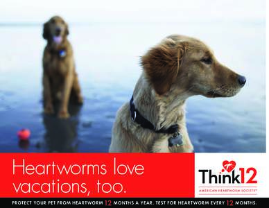 Heartworms love vacations, too. PROTECT YOUR PET FROM HEARTWORM 12 MONTHS A YEAR. TEST FOR HEARTWORM EVE RY 12 MONTHS.