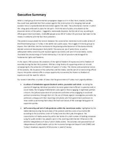 Executive Summary When a small group of environmental campaigners began a sit-in in Gezi Park, Istanbul, last May, few could have predicted that their protest against the construction of a shopping mall would escalate in