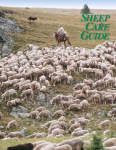SHEEP CARE GUIDE The American Sheep Industry Association acknowledges and expresses gratitude to the following persons for contributing to this document. Author/Editor, 2005 Edition