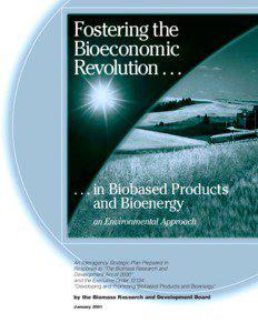 Fostering the Bioeconomic Revolution in Biobased Products and Bioenergy: An Environmental Approach