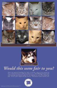 Jury appreciation cats&dog.indd