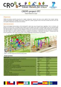 CROPS project FP7 “Clever Robots for Crops” Objectives CROPS will develop scientific know-how for a highly configurable, modular and clever carrier platform that includes modular parallel manipulators and intelligent