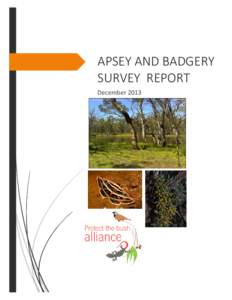 APSEY AND BADGERY SURVEY  REPORT