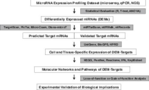 MicroRNA Expression Profiling Dataset (microarray, qPCR, NGS) Statistical Evaluation (R, T-test, ANOVA) Differentially Expressed miRNAs (DEMs) TargetScan, PicTar, MicroCosm, Diana-microT